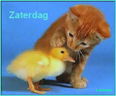animaatjes-zaterdag-04395.gif