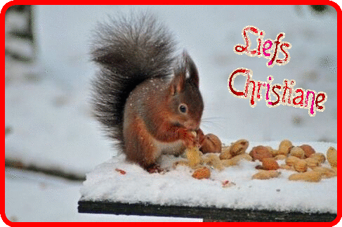 blogjes-29jan.gif