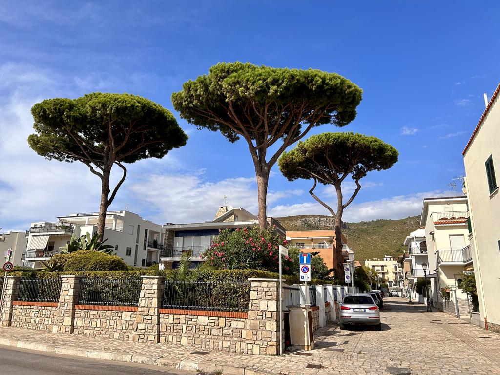 Жаркий сентябрь на побережье Тирренского моря. Жаркий сентябрь на побережье Тирренского моря.