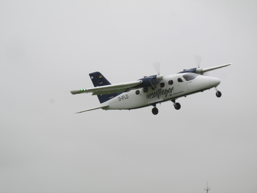 IMG-4622.jpg