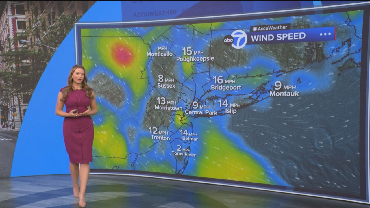 Eyewitness News This Morning_20250308_14001500.ts_snapshot_00.50.48.125