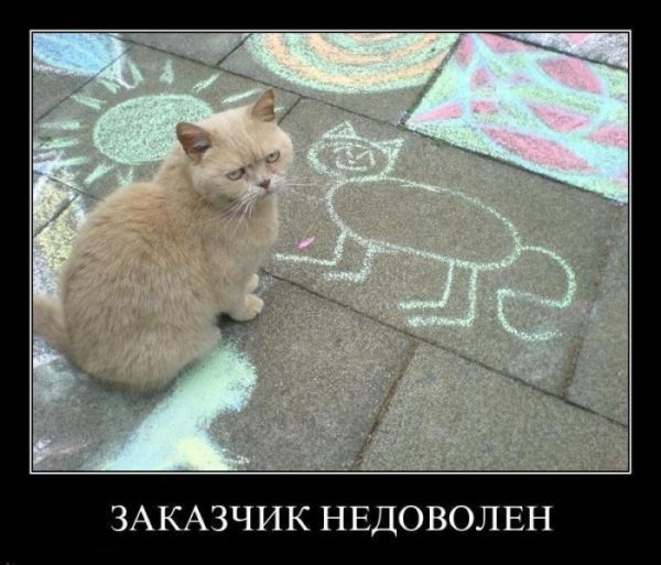 заказчик не доволен