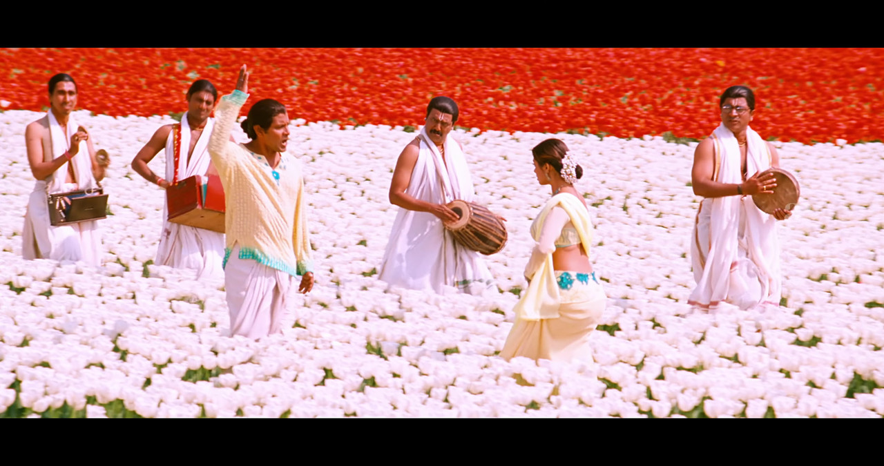 VideoCapture_20241122-195905