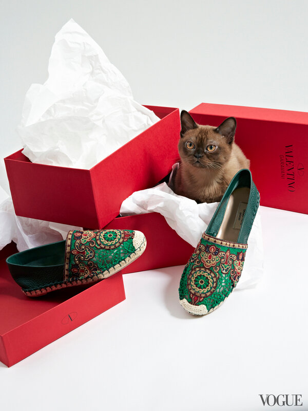cats-kittens-flats-shoes-29-161911493583