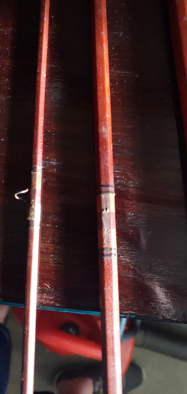 98593901_267432241299166_7863916790617735168_n