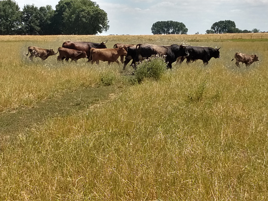 IMG_20180708_132003707_HDR