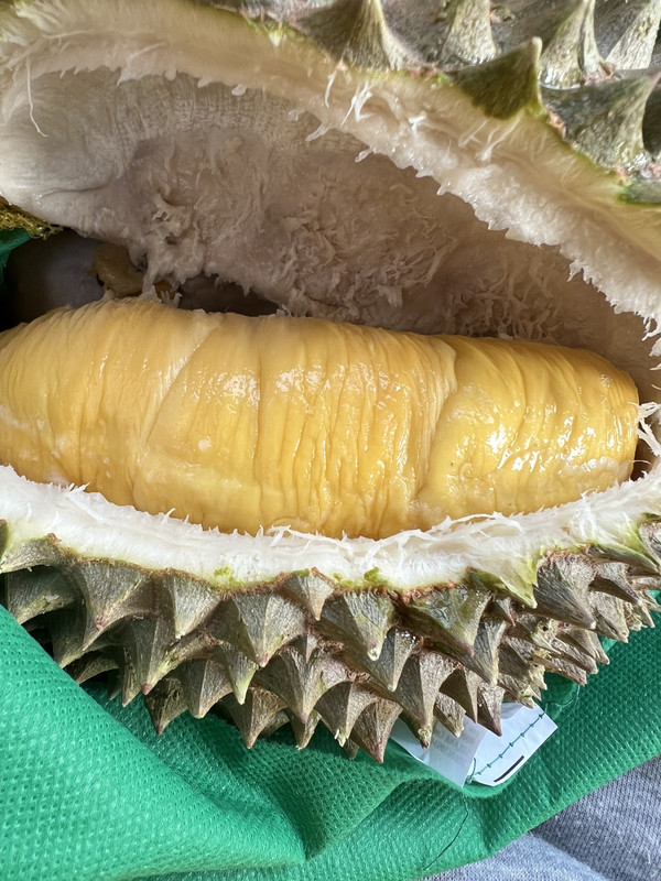 53D6FF74-82FA-4CFD-AE8D-42FCE68108F9