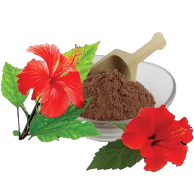 Nature Leaf Hibiscus Flower Powder (Joba Ful Gura) 100 gm