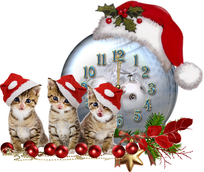 53 (2)jjnhhhhj4,nkjjjkkjj