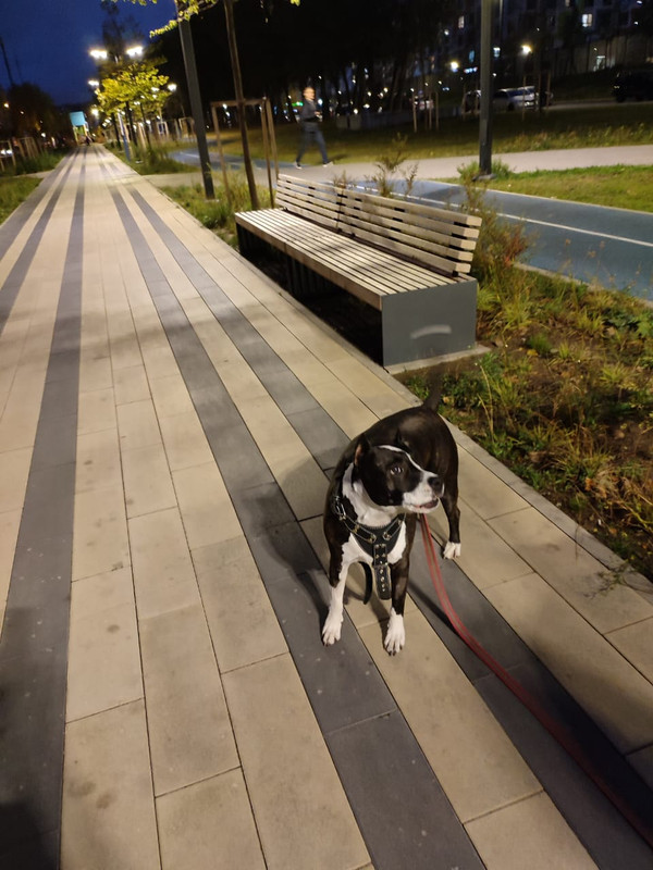 3B80E83C-FE61-4DBA-BA86-B50C0E55C472