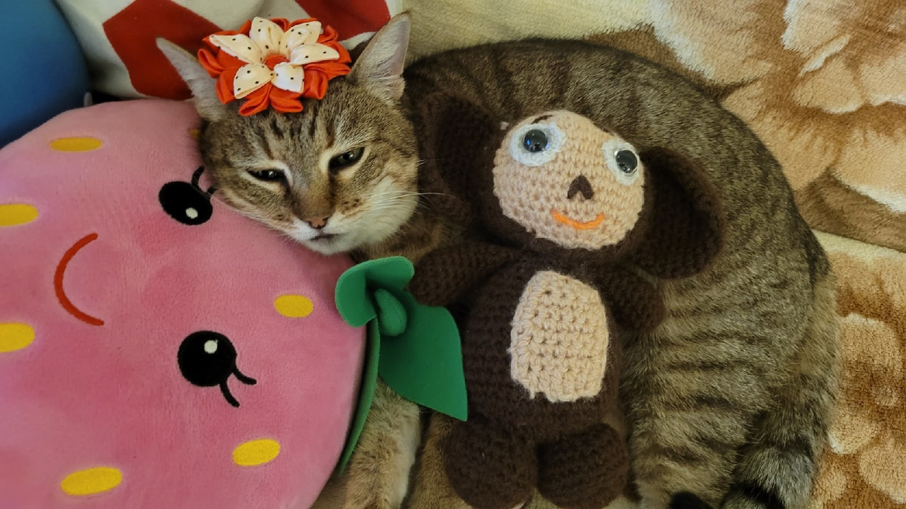 YqI1_Hj4hiNGDzsE2WKo8LehCucBuPbH876MMf72i0lRmVd74O4gAQK1lht_glVKHH9ITkzSJWnZGigNFSmrYMbz