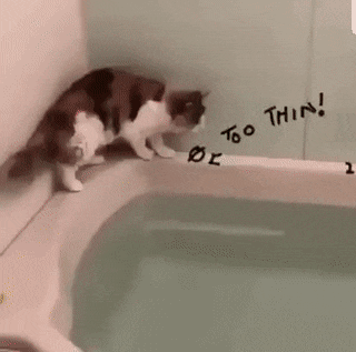 https://i.postimg.cc/nr9bm24y/1.gif