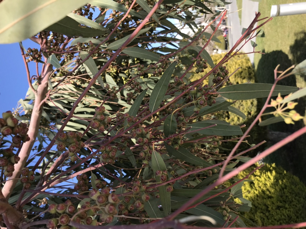 EF346920-CA81-4FEA-BC0B-51E035594C6D