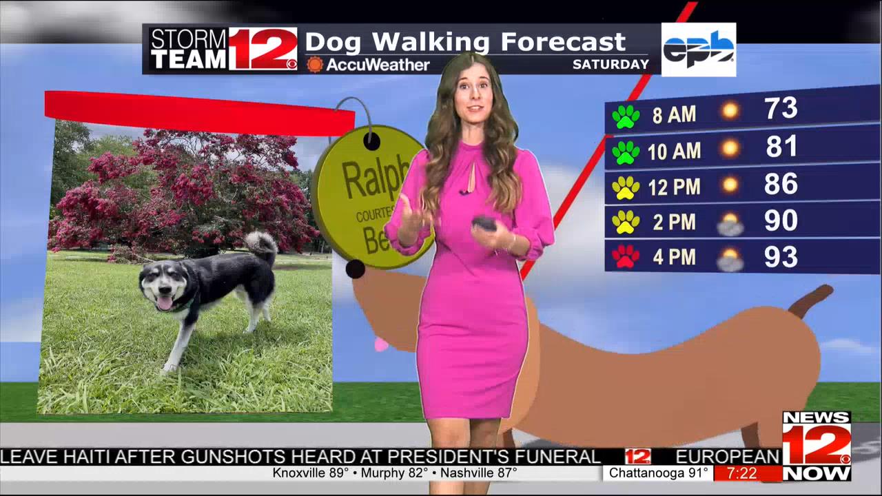 07.24 - 00.00.00 - Prime News at 7  ᴺᵉʷ. Primetime news show..ts_snapshot_29.41_[2021.07.24_02.23.26