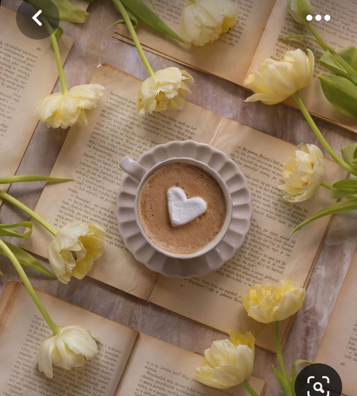 Screenshot_20230712_012137_Pinterest