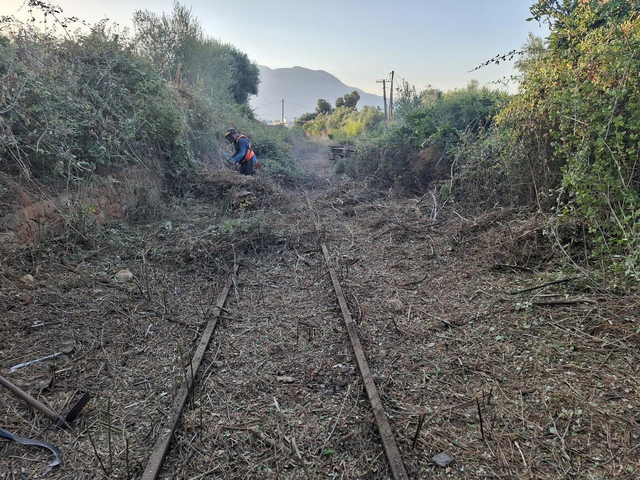 574560607 1489468618954775 8067212171158850228 n (1)