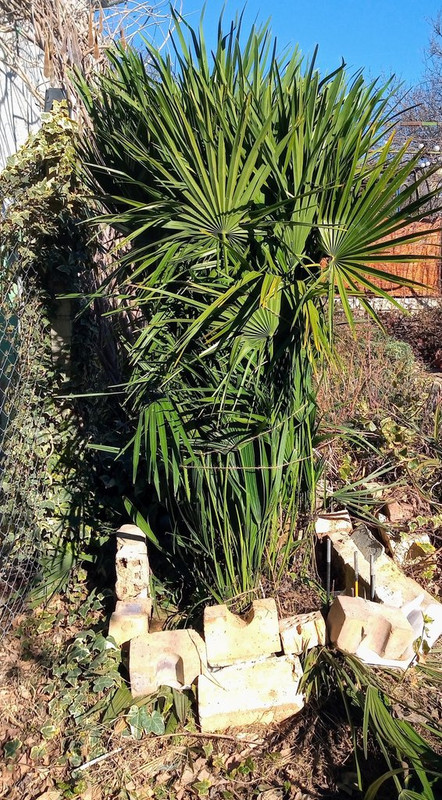 IMG_20220211_113129324~3