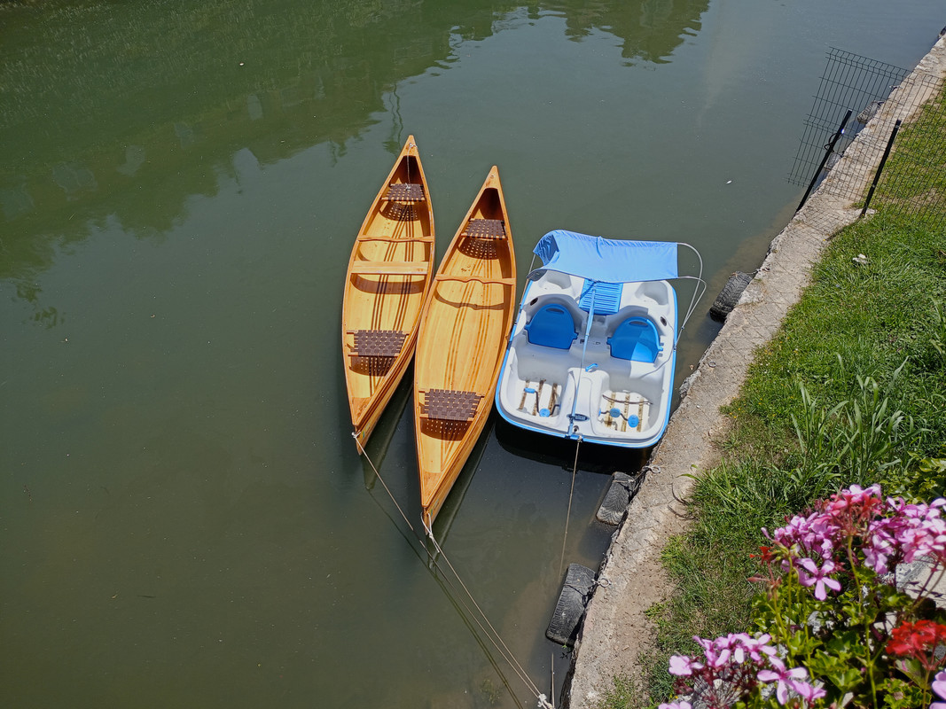 IMG20240622124537.jpg