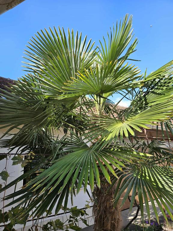 60fbe030 cf51 4c97 8f17 e893e9e9d132