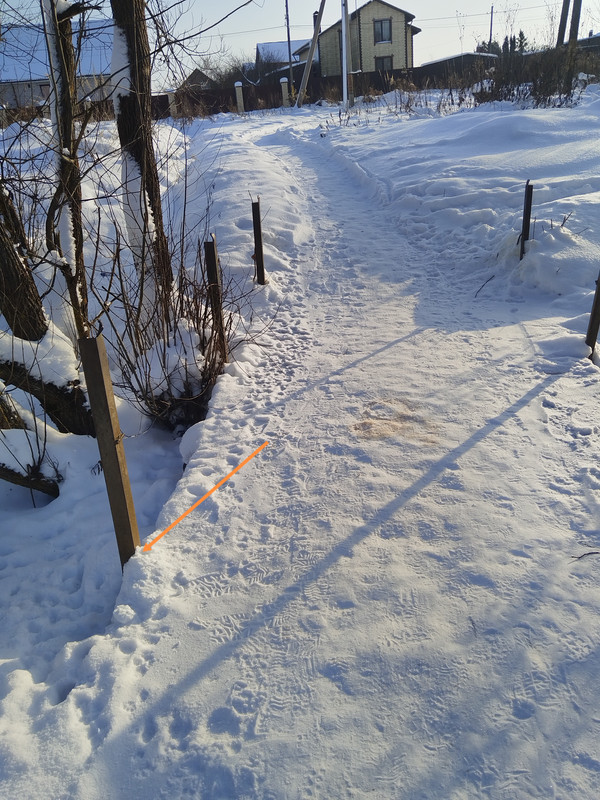 IMG 20260118 125114 edit 1214591628055782