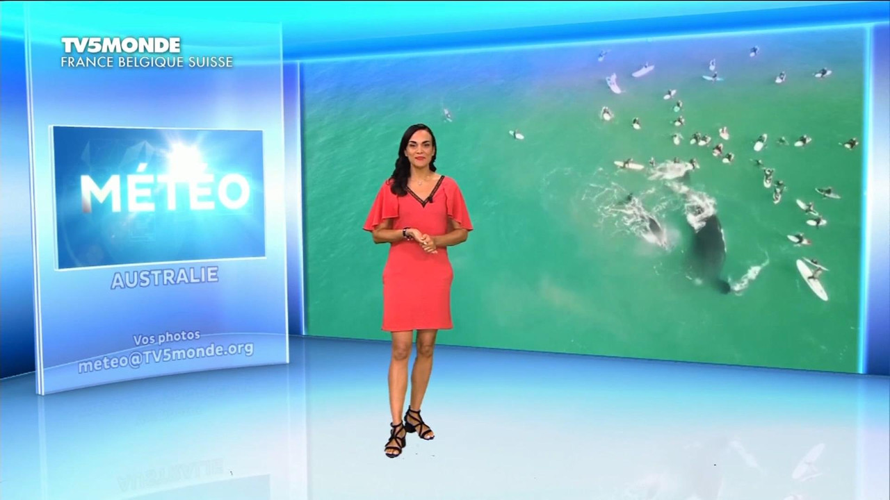 Talia Valenta 050820.mp4_snapshot_02.28_[2020.10.12_01.01.40]