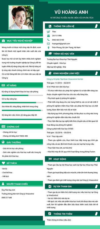 bản cv mẫu bằng tiếng việt
