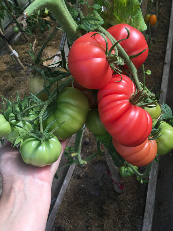 075976E1-F05E-41EC-8484-74F90E9F6AB6