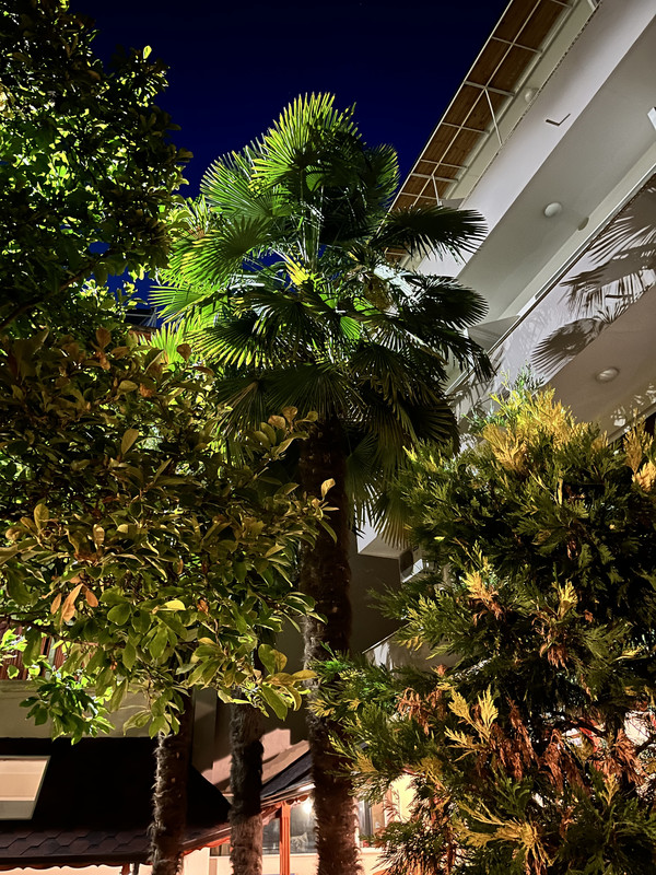 8469CC62-E972-4099-B7C7-0B741689F5A3