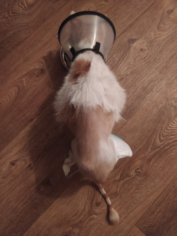 578550D8-C670-4B6F-A0FE-1279736B765C