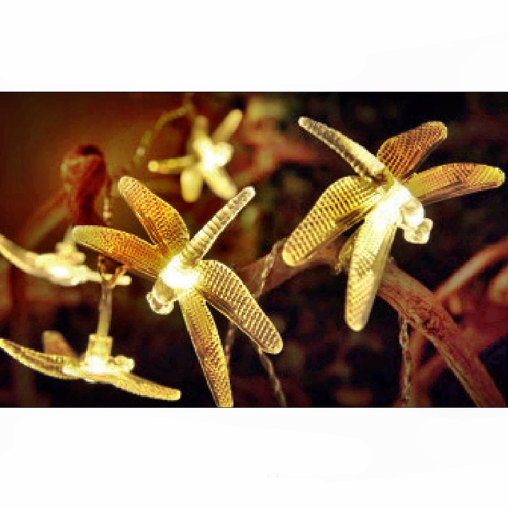 Solar String Light : 80367