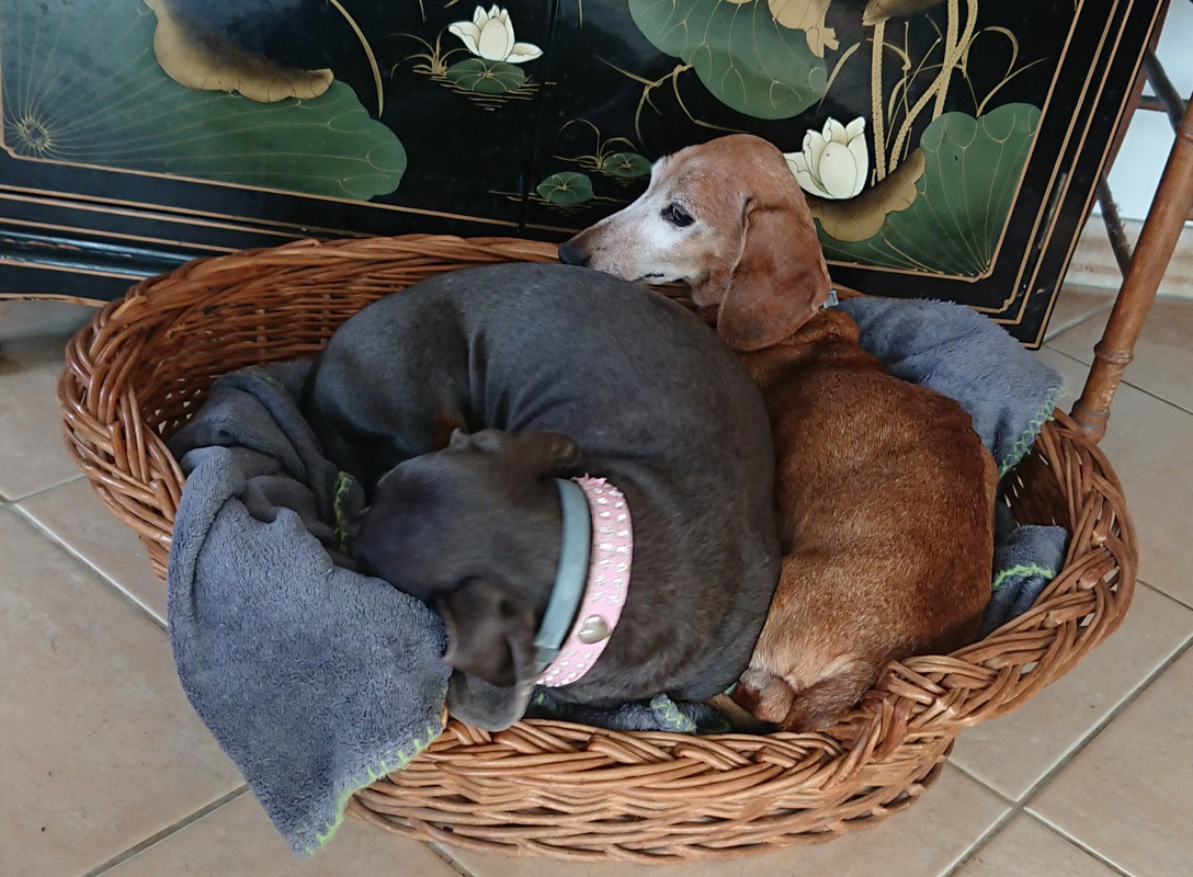 [Image: 20241026-230130.jpg]