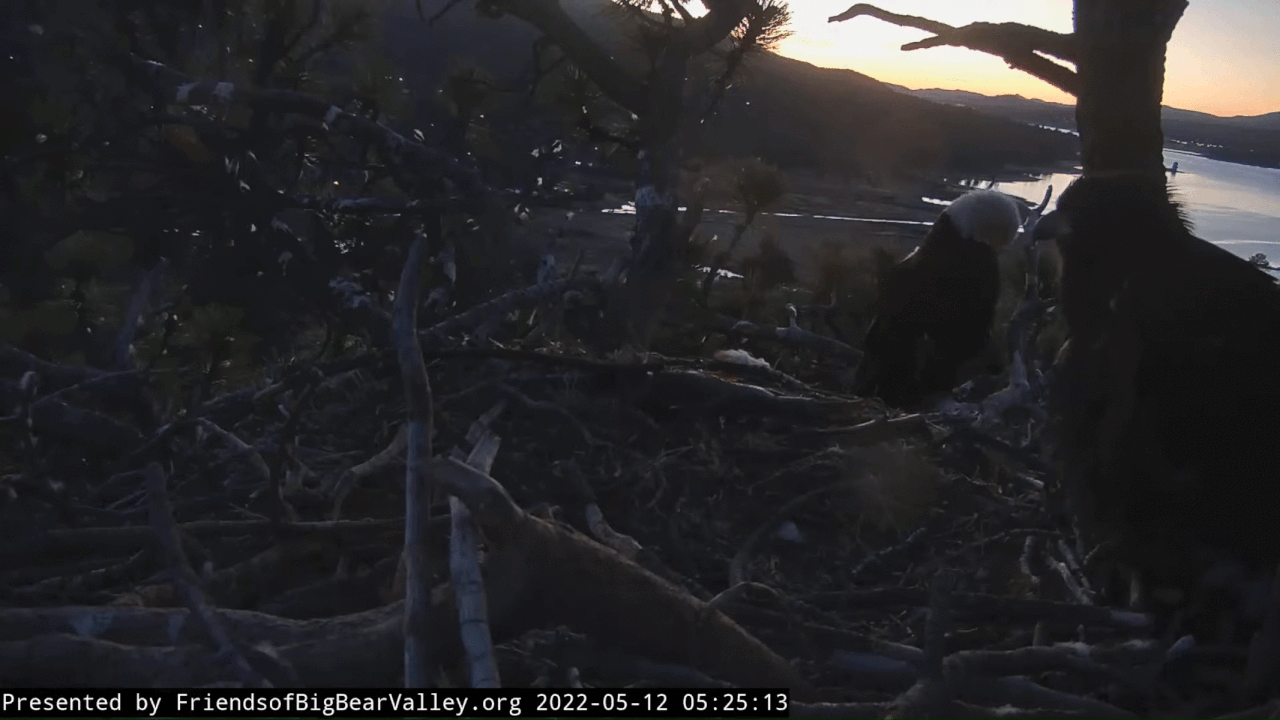 Webp.net-gifmaker (4)