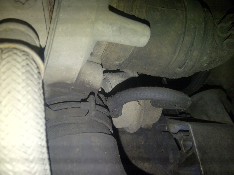 turbina