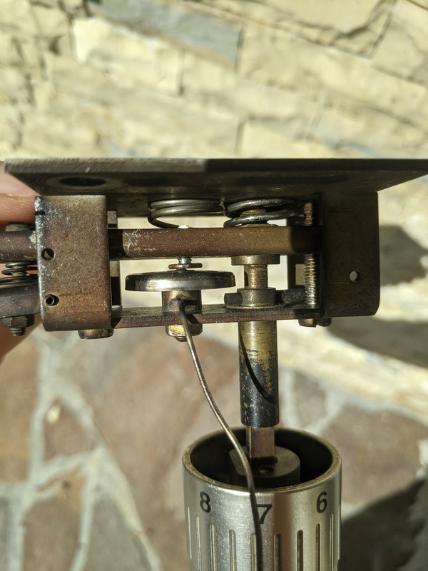 IMG_20250925_121940089