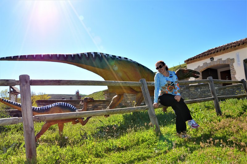 Soria y sus pueblos-2010/2013/2020 - Blogs of Spain - VILLAR DEL RIO-25-5-2013 (8)