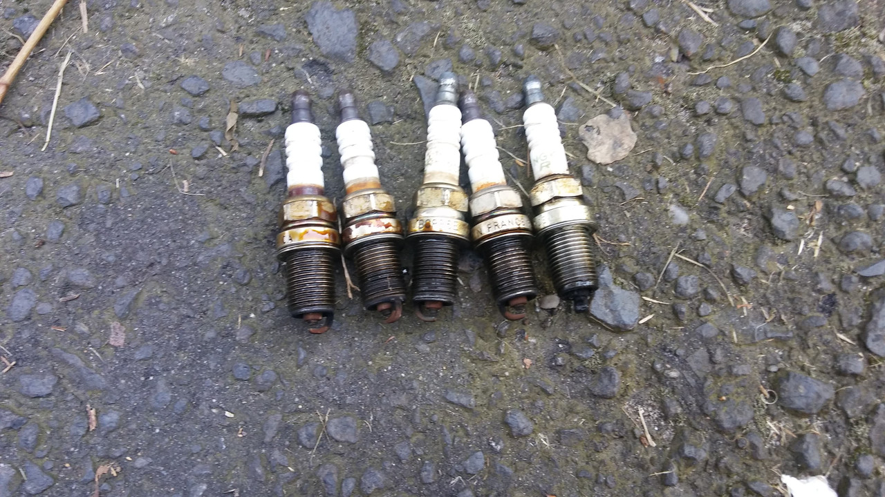 42238216_304550577013896_6593130534321258496_n