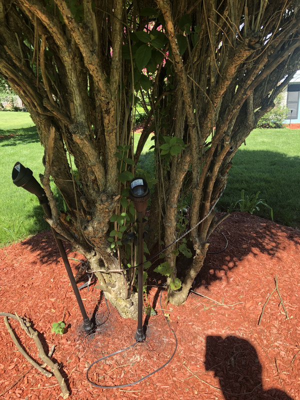 09C06C85-AC01-4FF6-973A-930A9CB0C581