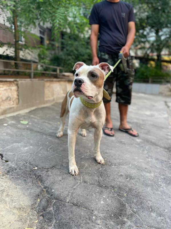 WhatsApp Image 2022-08-05 at 14.54.01 (2)