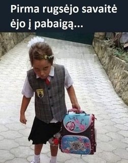 Paveikslėlis