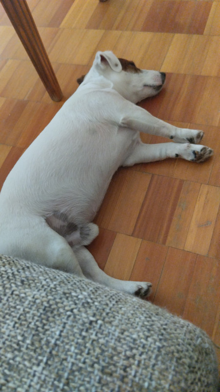 SAVE_20230713_180403