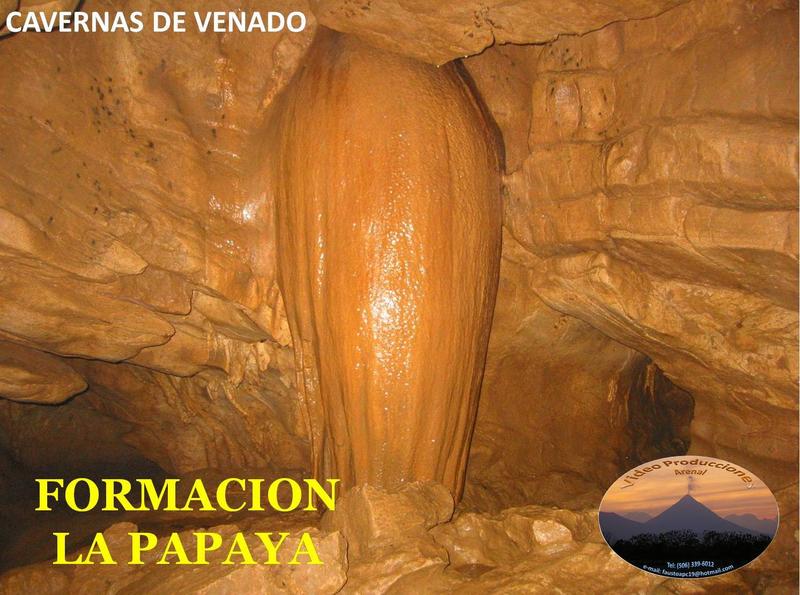 DE TORTUGAS Y PEREZOSOS. COSTA RICA 2019 - Blogs de Costa Rica - DIA 9: CAVERNAS DE VENADO (32)