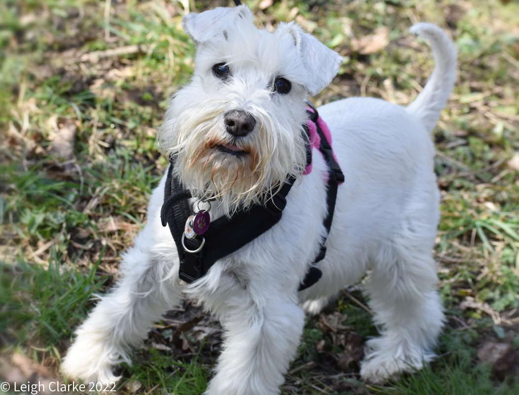 5C4524C9-AD83-48FC-82C6-69BF5066519A