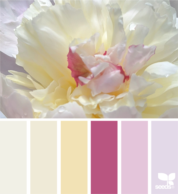 KCcolours3