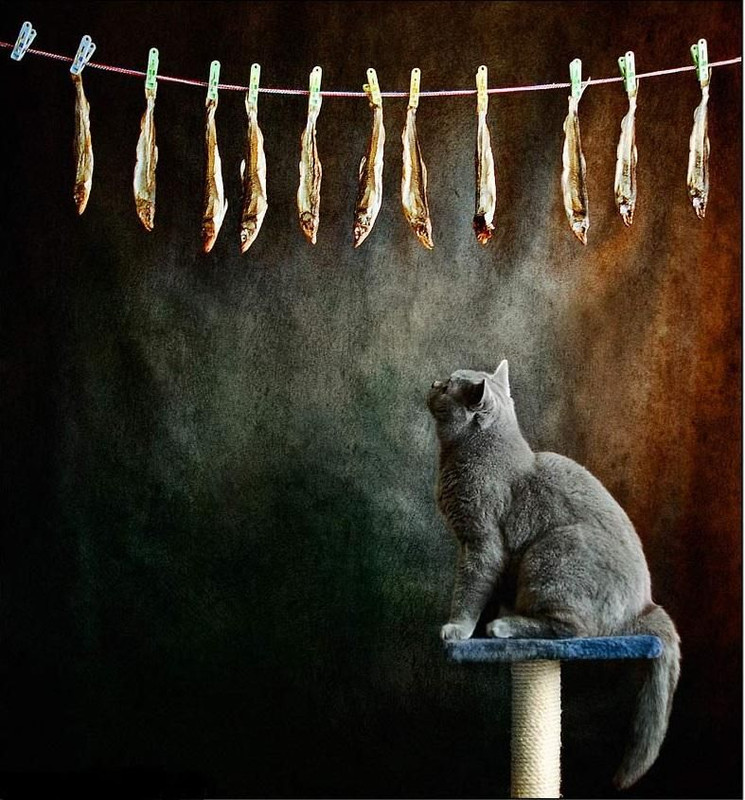 Добытчик - 4