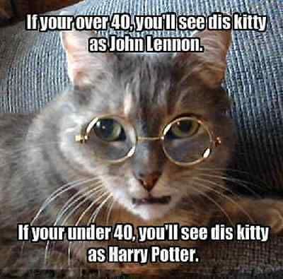 Cat Humor #8