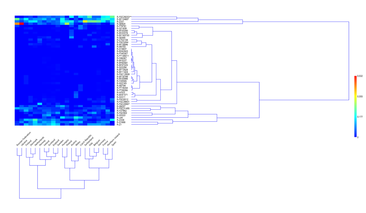 FTDNA Y DNA Haplotree R Z381 subclades 20 tests Hierarchical clustering ...
