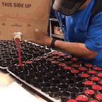x6-Rum4m7-WMv-XZp1-O.gif
