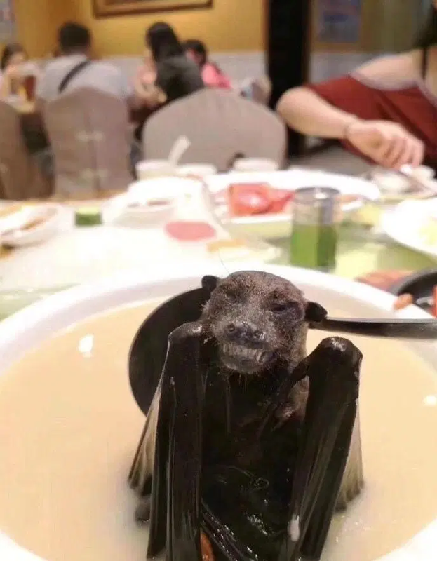 Bat-Soup