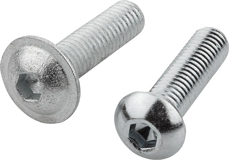 07174-Schrauben-mit-abgeflachtem-Halbrundkopf-DIN-EN-ISO-7380-Bu