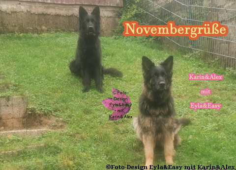 An den Beitrag angehängtes Bild: https://i.postimg.cc/nrDYQmLY/IMG-20231023-104733-Watermarked-png-Novembergr-e.png